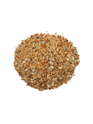   Bambini Pets  Bambini Pets   , 800  (,  8)