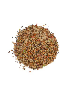   Bambini Pets  Bambini Pets  , 400  (,  8)