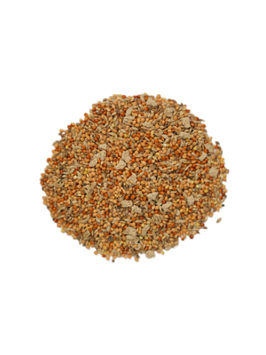   Bambini Pets  Bambini Pets   , 400  (,  10)