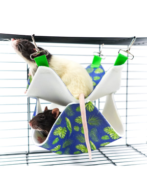 , ,  Bambini Pets     Bambini Pets ""     23*23*6  (,  11)