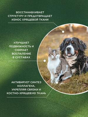 ProPhyto ProPhyto  , 30  (,  1)