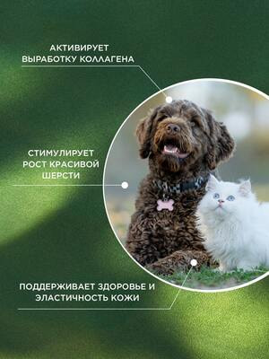 ProPhyto ProPhyto для Кожи и Шерсти, 100 таблеток (вид 7) ProPhyto ProPhyto для Кожи и Шерсти, 100 таблеток (фото, вид 7)