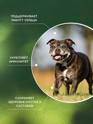 ProPhyto ProPhyto  , 30  (,  1)