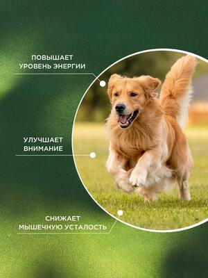 ProPhyto ProPhyto  , 30  (,  1)