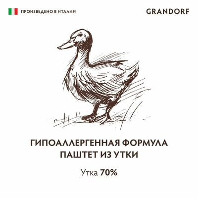     GRANDORF    6   200  (,  4)