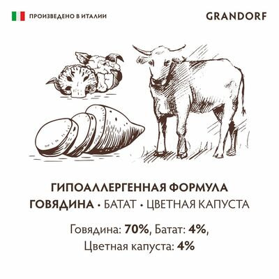     GRANDORF         6   200  (,  4)