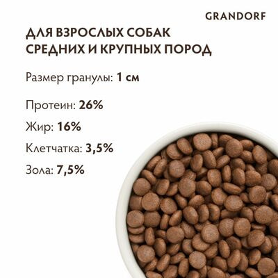     GRANDORF      , / 1  (,  2)