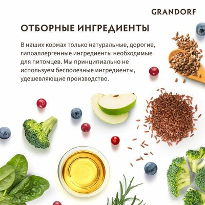     GRANDORF   / 400  (,  5)