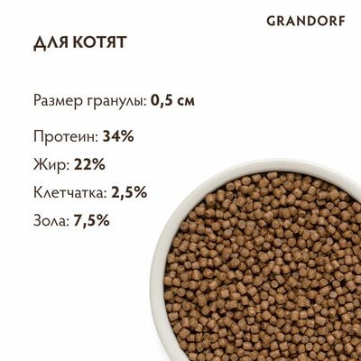     GRANDORF   / 2  (,  2)
