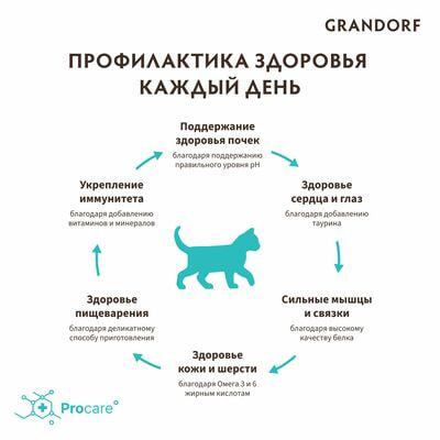     GRANDORF   / 2  (,  7)