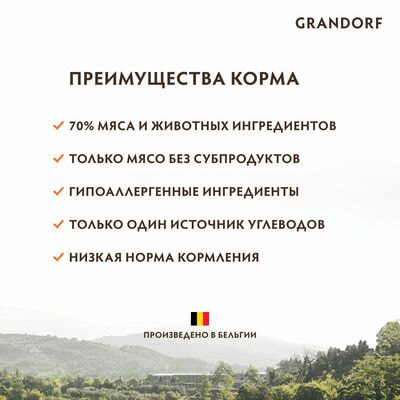     GRANDORF   / 2  (,  9)