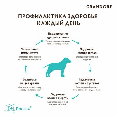     GRANDORF    / 3  (,  7)