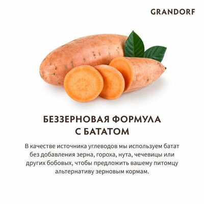     GRANDORF      , / 1  (,  4)