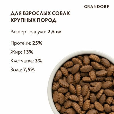     GRANDORF    ,     10  (,  2)