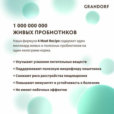  ;    GRANDORF    2  (,  6)