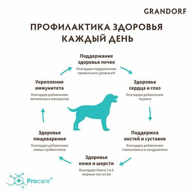     GRANDORF      ,   1  (,  8)