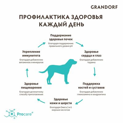     GRANDORF    ,     3  (,  7)