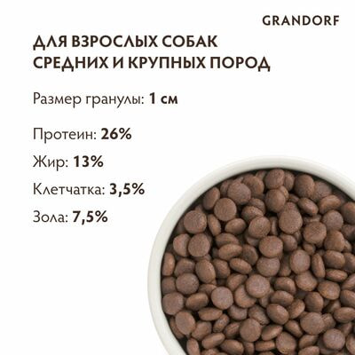     GRANDORF      ,   3  (,  2)