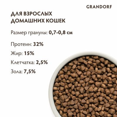     GRANDORF   / 8  (,  2)