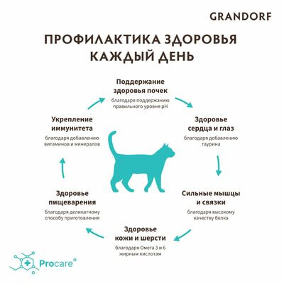     GRANDORF   / 8  (,  7)