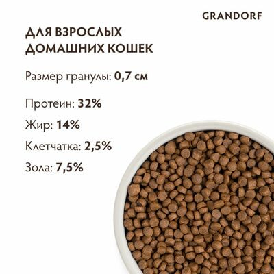     GRANDORF   4    2  (,  2)