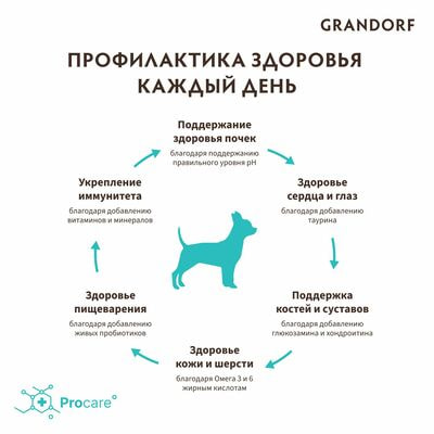     GRANDORF    ,   1  (,  8)