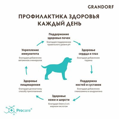     GRANDORF      , / 1  (,  7)
