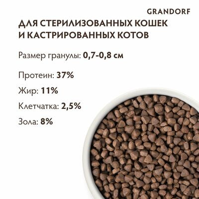  ;    GRANDORF    2  (,  2)