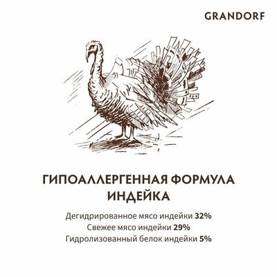  ;    GRANDORF    2  (,  3)