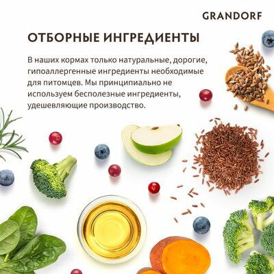  ;    GRANDORF    400  (,  5)