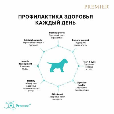      Premier Dog PUPPY  ,   1  (,  6)