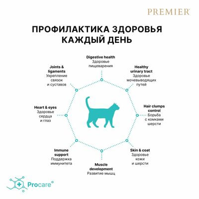  ;     Premier Cat ADULT  ,    400  (,  6)