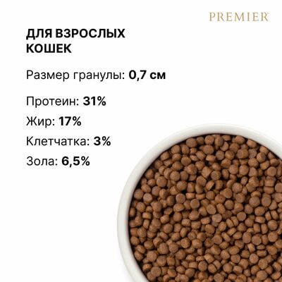  ;     Premier Cat ADULT  ,    8  (,  2)