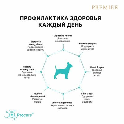     Premier Dog ADULT    ,    8  (,  6)