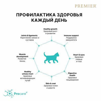      Premier Cat KITTEN  ,   2  (,  6)