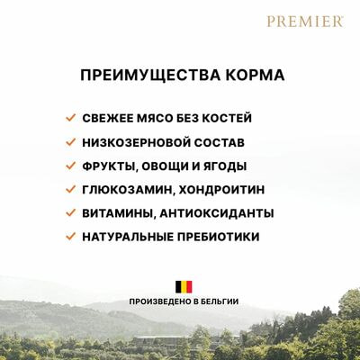      Premier Cat KITTEN  ,   2  (,  8)