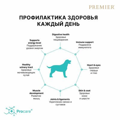      Premier Dog ADULT    ,   3  (,  6)