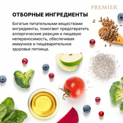      Premier Dog ADULT    ,    10  (,  4)