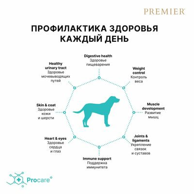      Premier Dog ADULT    ,    3  (,  6)