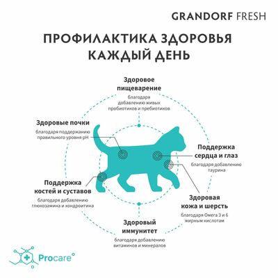      GRANDORF Fresh KITTEN  ,    400  (,  7)