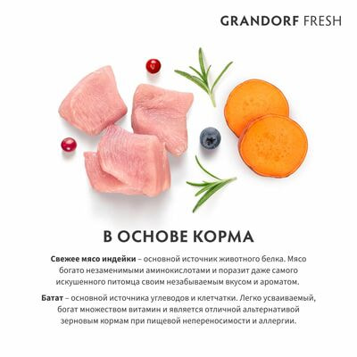      GRANDORF Fresh ADULT  ,    2  (,  3)