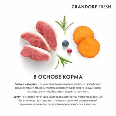      GRANDORF Fresh Adult MEDIUM &amp; MAXI       ,    3  (,  3)