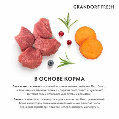      GRANDORF Fresh JUNIOR MEDIUM &amp; MAXI       ,    3  (,  3)