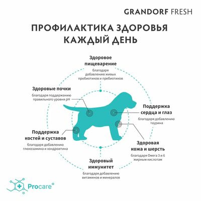      GRANDORF Fresh PUPPY  ,    10  (,  8)