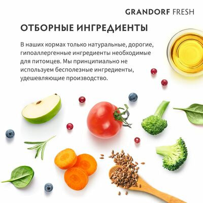      GRANDORF Fresh Adult MEDIUM &amp; MAXI       ,    10  (,  4)