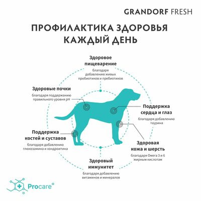     GRANDORF Fresh Dog Adult MAXI Salmon&amp;Sweet Potato    ,     3  (,  7)