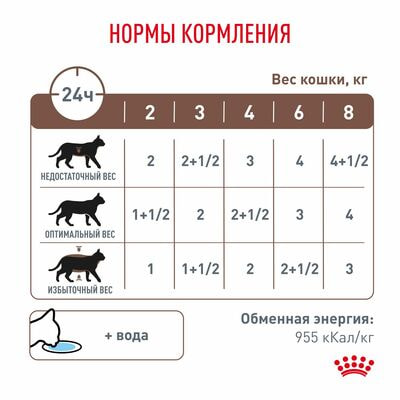 Влажные корма, консервы Royal Canin Royal Canin GASTROINTESTINAL Корм консервированный диетический для кошек, применяемый при расстройствах пищеварения, в период реабилитации и при истощении, 28 шт по 85 г (вид 7) Влажные корма, консервы Royal Canin Royal Canin GASTROINTESTINAL Корм консервированный диетический для кошек, применяемый при расстройствах пищеварения, в период реабилитации и при истощении, 28 шт по 85 г (фото, вид 7)