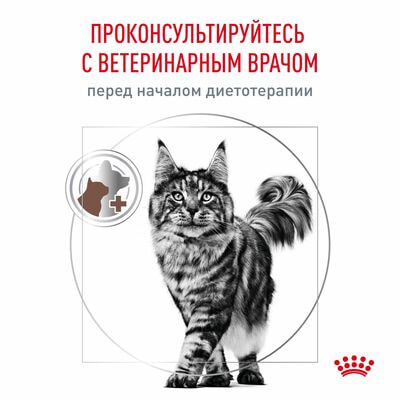 Влажные корма, консервы Royal Canin Royal Canin GASTROINTESTINAL Корм консервированный диетический для кошек, применяемый при расстройствах пищеварения, в период реабилитации и при истощении, 28 шт по 85 г (вид 8) Влажные корма, консервы Royal Canin Royal Canin GASTROINTESTINAL Корм консервированный диетический для кошек, применяемый при расстройствах пищеварения, в период реабилитации и при истощении, 28 шт по 85 г (фото, вид 8)