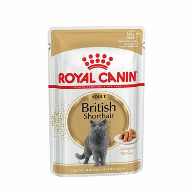 Влажные корма, консервы Royal Canin Корм для кошек Royal Canin British Shorthair Adult Корм для взрослых британских короткошерстных кошек, соус 28 шт по 85 г (вид 1) Влажные корма, консервы Royal Canin Корм для кошек Royal Canin British Shorthair Adult Корм для взрослых британских короткошерстных кошек, соус 28 шт по 85 г (фото, вид 1)