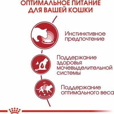 Влажные корма, консервы Royal Canin Корм для взрослых кошек Royal Canin Instinctive Корм консервированный ,желе 28 шт по 85 г (вид 5) Влажные корма, консервы Royal Canin Корм для взрослых кошек Royal Canin Instinctive Корм консервированный ,желе 28 шт по 85 г (фото, вид 5)